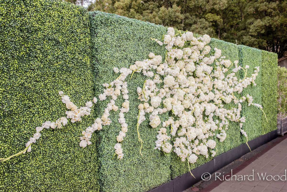White rose and hydrangea floral installation across a greenery wall